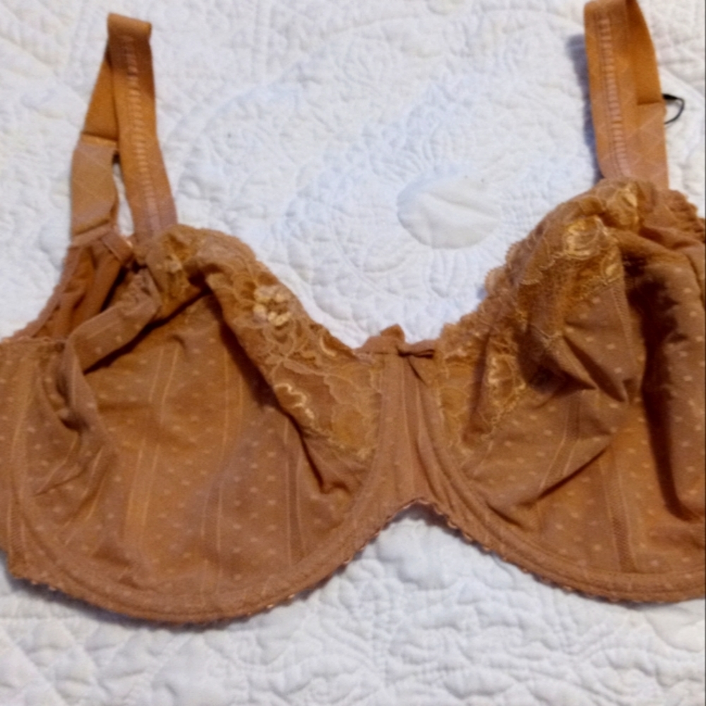 NWT Prima Donna underwire bra 42F